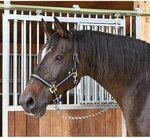 Halfter Mustang - schwarz/silber - Gr.3 Warmblut (Full)