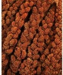 JR Birds Kolbenhirse rot, 500 g