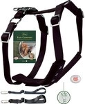 Hunter Autosicherheitsgeschirr Easy Comfort Gr. M: 50 - 65 cm, Farbe: schwarz