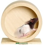 Holzlaufrad Wonderland Bogie Wheel - 15cm