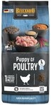 Belcando Puppy GF Poultry - 12,5 kg