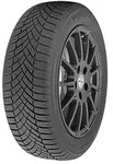 255/40 R20 101W Observe EWS1 XL FSL