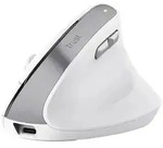 Trust Bayo II Ergonomische Wireless Mouse White