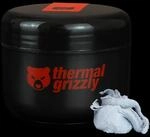 Thermal Grizzly Putty Pro (100 g) | W&auml;rmeleitpaste