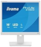Iiyama B1980S-W1