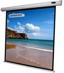 Celexon Motor Leinwand Economy 1:1 200 x 200 cm
