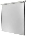 Celexon Leinwand Motor Professional Format 1:1, 200 x 200 cm