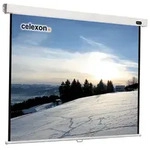 Celexon Professional 1:1 Manual Screen 220x220 Leinwand