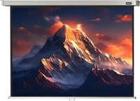 celexon 1090049, celexon Leinwand Rollo Professional 160 x 120 cm, Format 4:3