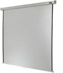 Celexon Rollo Professional Leinwand Format 1:1, 200 x 200 cm