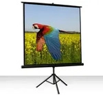 Celexon Economy 1:1 Tripod Screen 184 x 184 Leinwand