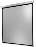 Celexon Rollo Professional Plus 1:1 Leinwand 220 x 220