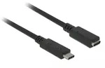 Delock USB-C Verl&auml;ngerung 1,0m Kabel