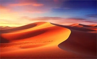 celexon 1000009636, celexon Rahmenleinwand Expert PureWhite 280 x 158 cm Format 16:9