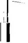 Dornbracht Spender 83435970-93 Wandmodell, Flasche aus Kristallglas, matt, Chrom