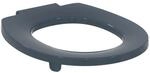 Ideal Standard Contour 21 + WC-Sitzring S4066RN 375x435x40mm, anthrazit