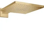 hansgrohe Raindance E Kopfbrause 26238140 1jet, mit Brausearm 390mm, brushed bronze