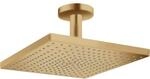 hansgrohe Raindance E Kopfbrause 26250140 1jet, mit Deckenanschluss, brushed bronze