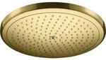 hansgrohe 26220990 1jet, 15,6 l/min, polished gold optic