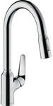 hansgrohe Focus M42 K&uuml;chenarmatur 220 2jet 71800000 mit Ausziehbrause,