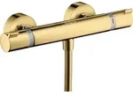 hansgrohe Ecostat Comfort Brausethermostat 13116990 Aufputz, 1x Verbraucher, polished