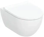 Geberit Acanto WC mit WC-Sitz 502774008 4,5 l,sp&uuml;lrandlos, TurboFlush, wei&szlig;