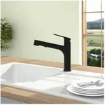 Villeroy und Boch Junis Sky Shower K&uuml;chenarmatur 92820006 schwenkbarer Strahlregler,