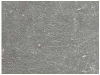 Zebra Sela Kunstharzplatte Scratched Grey 180cm 4025806078127