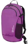 Jack Wolfskin Rucksack Velocity 20 freesia