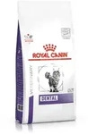 Royal Canin Dental Trockenfutter Katze - 3 kg
