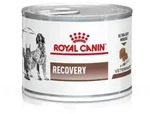 Royal Canin Recovery Nassfutter - 1x195 g