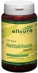 Nattokinase Kapseln