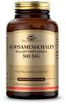 Solgar Flohsamenschalen 500 mg Kapseln
