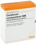 Cerebrum Compositum Nm Ampullen