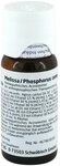 Melissa/phosphorus Comp. Dilution