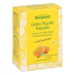 Gelee Royale Kapseln