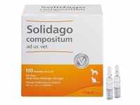 Solidago Compositum Ampullen ad usus veterinär