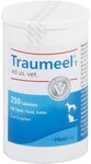 Traumeel T Tabletten f&Atilde;&frac14;r Hunde /Katzen