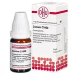 Conium C1000 Globuli