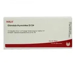 Glandula Thyreoidea Gl D4 Ampullen