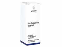 Belladonna Planta tota Rh D6 Dilution