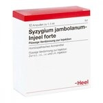 Syzygium Jambolanum Injeel forte Ampullen