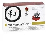 YamatoGast bei leichten Magen-Darm-Beschwerden