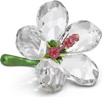 Swarovski Florere Hibiskus 5690534 Dekoration