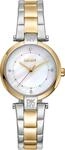 DKNY Essential Mini DK1L043M0075 Damenarmbanduhr