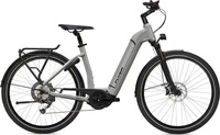 Flyer Gotour6 3.10 Comfort Silber Modell 2024