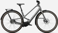 Orbea Diem 20 Grau Modell 2025