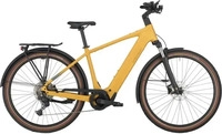 Bergamont E-Horizon Sport 20 Gold Modell 2025