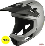 Alpina Pikes MIPS Grau Modell 2026