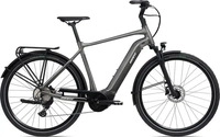 Giant DailyTour E+ 3 Braun Modell 2024